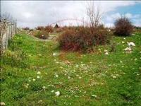 Konya Beyşehir Damlapınar Köyü Milli Emlak'tan Satılık 4.437,32 m2 Tarla