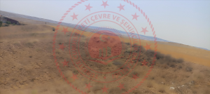 Kırıkkale Delice Halitli Köyü Milli Emlak'tan Satılık 2.474,36 m2 Tarla