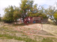 Kastamonu Tosya Karasapaca Köyü Milli Emlak'tan Satılık 311,98 m2 Tarla