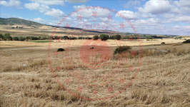 Çorum Alaca Büyükhırka Köyü Milli Emlak'tan Satılık 1.317,27 m2 Tarla