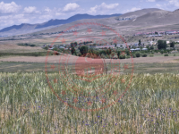 Van Tuşba Yumrutepe Köyü Milli Emlak'tan Satılık 10.466,46 m2 Tarla