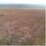 Ağrı Doğubayazıt Dalbahçe Köyü Milli Emlak'tan Satılık 27.843,46 m2 Tarla