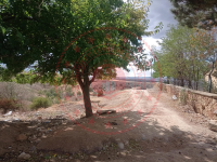 Kırıkkale Keskin Eskialibudak Köyü Milli Emlak'tan Satılık 421,87 m2 Tarla