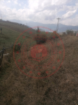 Gümüşhane Merkez Yaydemir Köyü Milli Emlak'tan Satılık 409,59 m2 Tarla