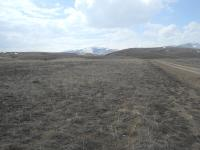 Kayseri Tomarza Güzelsu Mahallesi Milli Emlak'tan Satılık 56.259,88 m2 Tarla