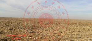 Konya Sarayönü Karatepe Köyü Milli Emlak'tan Satılık 69.513,00 m2 Tarla