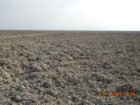 Niğde Bor Seslikaya Köyü Milli Emlak'tan Satılık 37.400,00 m2 Tarla