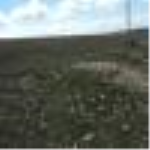 Kayseri Kocasinan Yuvalı Mahallesi Milli Emlak'tan Satılık 636,05 m2 Tarla