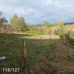 Bolu Yeniçağa Örenköy Köyü Milli Emlak'tan Satılık 542,24 m2 Tarla