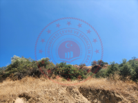 Aydın Nazilli Kestel Köyü Milli Emlak'tan Satılık 2.439,30 m2 Tarla