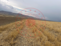 Van İpekyolu Yukarıgüneyce Milli Emlak'tan Satılık 1.721,53 m2 Tarla