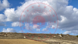 Tokat Artova Boyunpınar Köyü Milli Emlak'tan Satılık 4.342,52 m2 Tarla