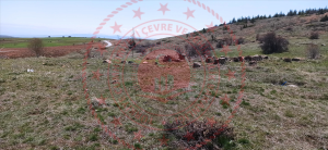 Kırıkkale Balışeyh Mehmetbeyoba Köyü Milli Emlak'tan Satılık 1.599,98 m2 Tarla