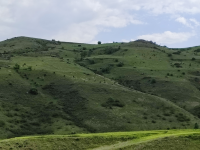 Amasya Merkez Kaleboğazı Köyü Milli Emlak'tan Satılık 17.545,25 m2 Tarla