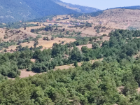 Amasya Merkez Ormanözü Köyü Milli Emlak'tan Satılık 5.227,70 m2 Tarla